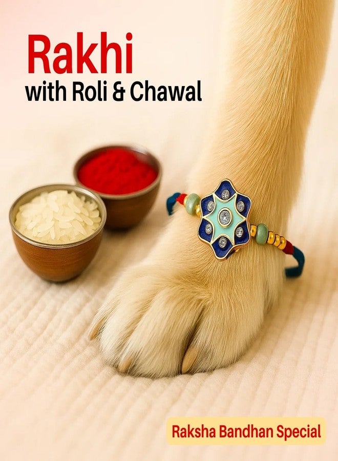 Sage Square Paw Bandhan Rakhi for Dog, Cat & Small Pets | Celebrate Bonds of Love This Raksha Bandhan | Cute Rakhi with Beads, Decorative Threads | Gift for Pet Lovers & Furry Companions (Type 22) - Image 3